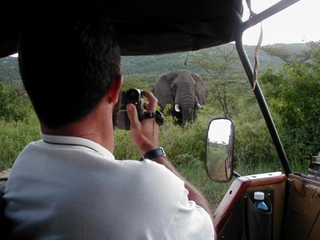 safari.jpg